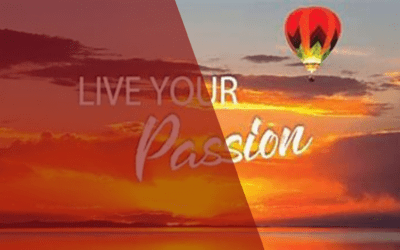 Find Your Passion