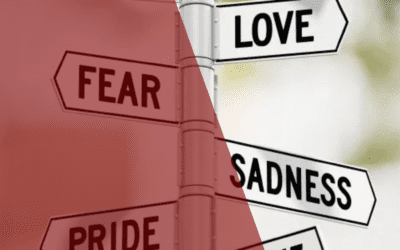 Are You Ready To Change Your Mindset?