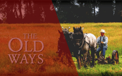 ☎️📺Letting Go Of The Old Ways