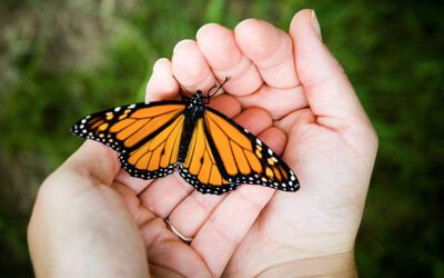 Transform Your Mindset: Achieve More Every Day!