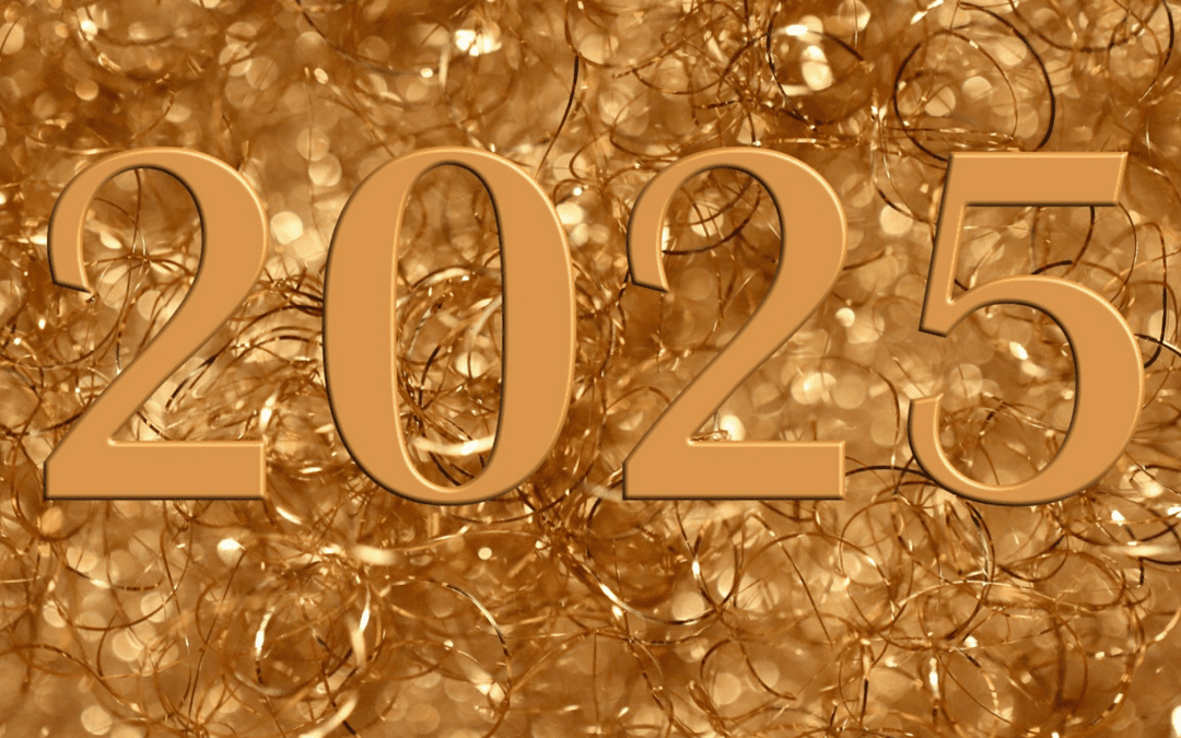YEAR IN REVIEW 2025:Insights ; Celebration