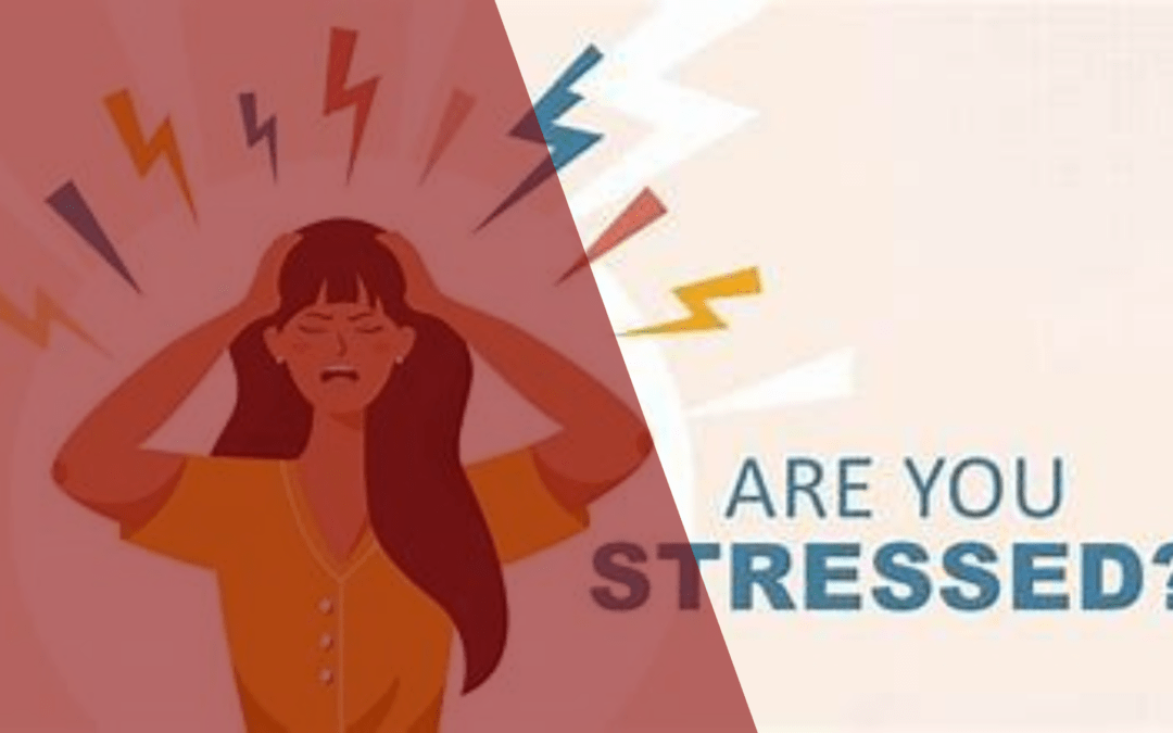 Are You Feeling Stressed? Tips to Assist You During These Stressful Times